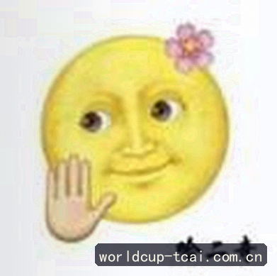 赵先生